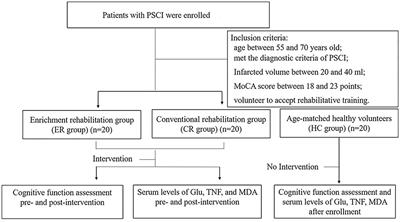 The Effects of Enriched Rehabilitation on Cognitive Function and Serum Glutamate Levels Post-stroke